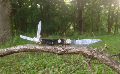 Boker in the wild - 1.jpg