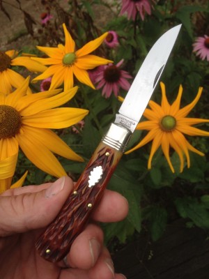 knife-flower photo 2 - 1.jpg