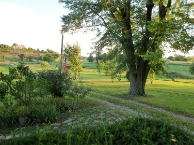 P1010866.JPG
