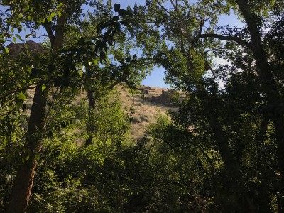 IMG_0350.JPG