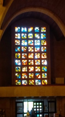 IMG_20160419_152837.jpg