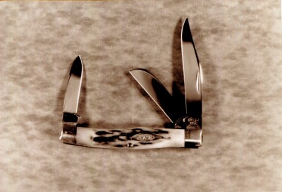 Case 1970 Ten Dot 9.jpg