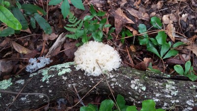 20170724_110121.jpg