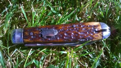 WP_20170726_134.jpg