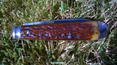 WP_20170726_136.jpg