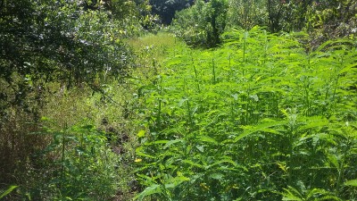 20170801_104442.jpg