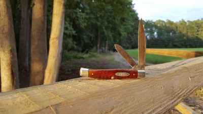 20170717_195004.jpg