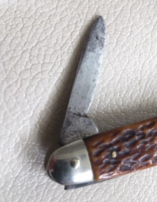 morley clover 2.jpg