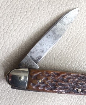 Morley clover1.jpg