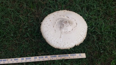 20170814_090100.jpg