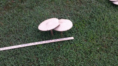 20170814_090128.jpg