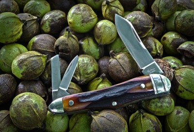 2017-tuna-valley-humpback-whittler-amber-stag-01.jpg
