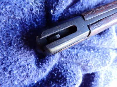 DSCN8555.JPG
