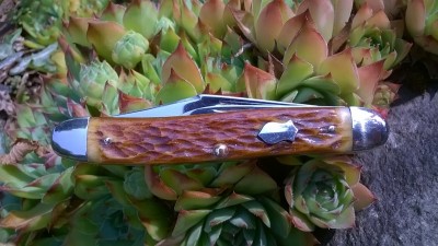 WP_20170807_056.jpg