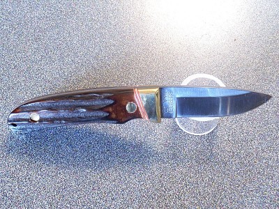 PH-2 SAMBAR STAG.jpg