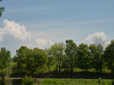 P1010915.JPG