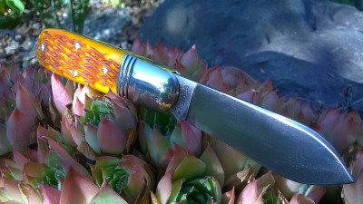WP_20170825_059.jpg