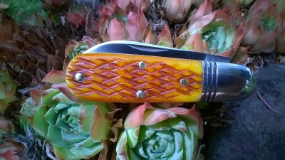 WP_20170824_126.jpg