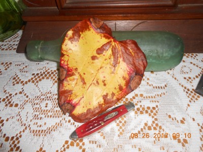 DSCN3643.JPG