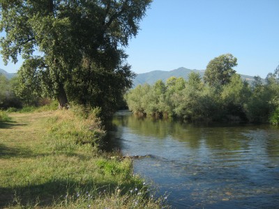 IMG_4878.JPG