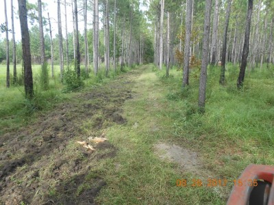1st pass with disk after mowing.