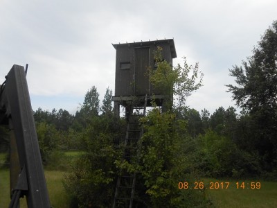 The old faithful shootin' house overlooking the original food food plot, the new plot and a block of pines.