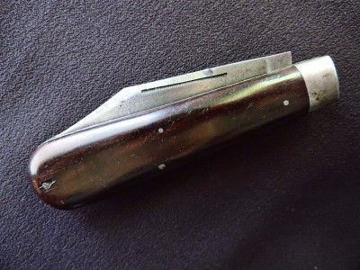 DSCN8984.JPG
