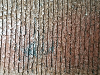 20170831_094949.jpg