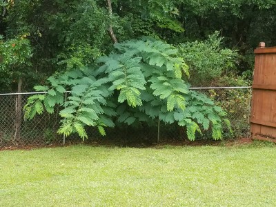20170831_100151.jpg