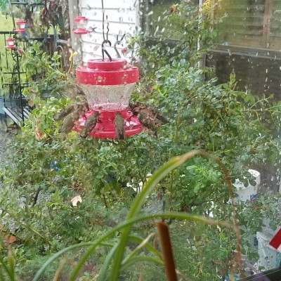 20170901_082953.jpg