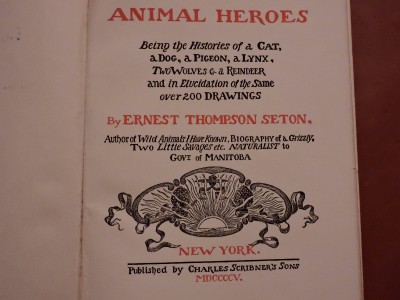 DSCN9125.JPG
