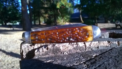 WP_20170901_023.jpg
