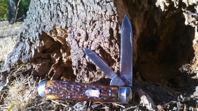 WP_20170901_003.jpg