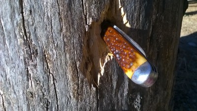 WP_20170901_007.jpg