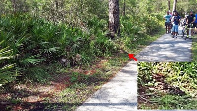 20170904_104452-Annotated.jpg