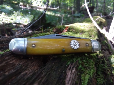 20170905_103326.jpg