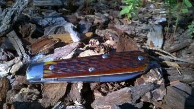 WP_20170825_047.jpg