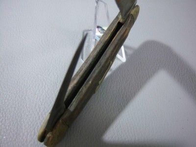 48.jpg