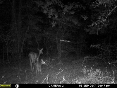 MFDC1625 (2).JPG (648.64 KiB) Viewed 4243 times A stroll in the dark.