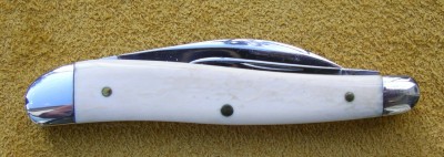 Toenail 002.JPG