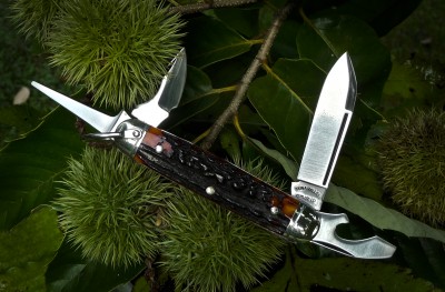 2014-tuna-valley-scout-amber-stag2.jpg