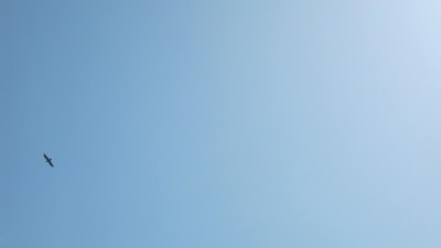 IMG_4935.JPG