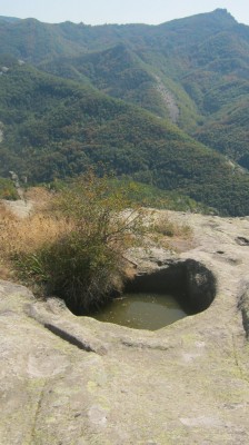 IMG_4943.JPG