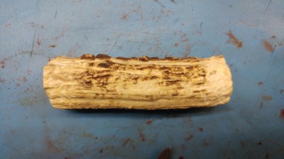 20170922_224455.jpg