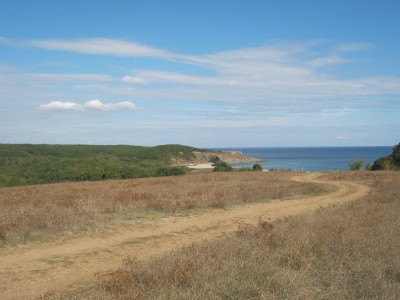 IMG_5001.JPG