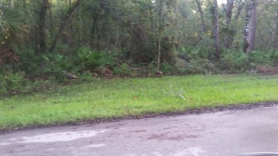 20170924_075719.jpg