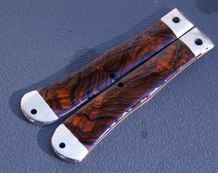 desert ironwood 3.JPG