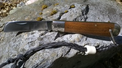 WP_20170926_007.jpg