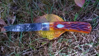 WP_20170918_018.jpg