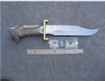 ANZA Bowie.jpg